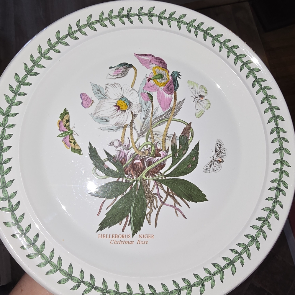 Portmeiron The Botanica Garden Collection Replacement Dinner Plate